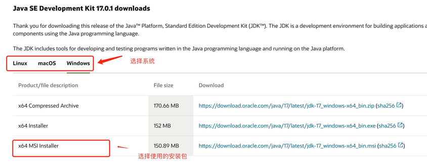 Java 开发环境配置,Java 开发环境配置-第1张,第1张